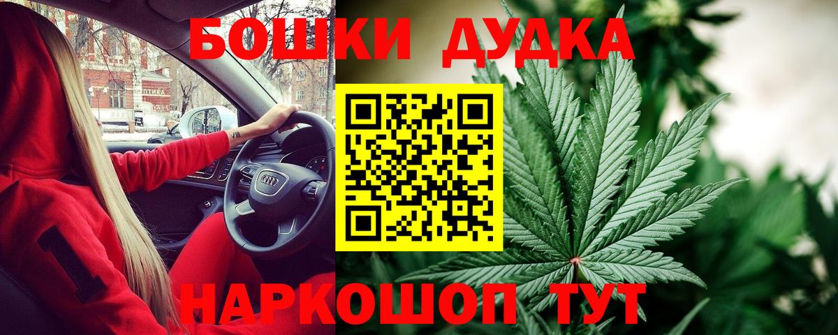 Каннабис план Славянск-на-Кубани